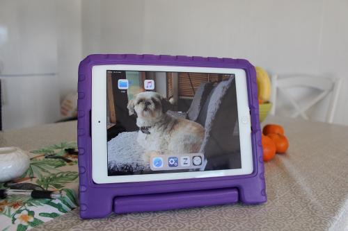 billigamobilskydd.seChildren's Standcase iPad 10.2 (2019/2020/2021)