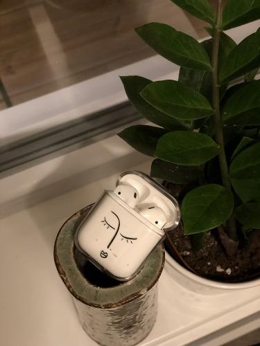 billigamobilskydd.seApple AirPods Design Case