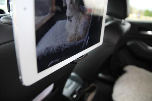 Nackstödshållare för iPad & läsplatta