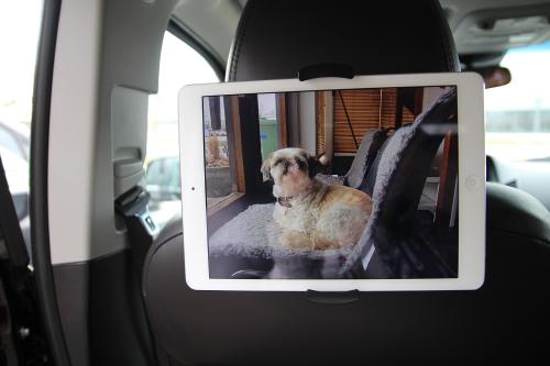 Nackstödshållare för iPad & läsplatta